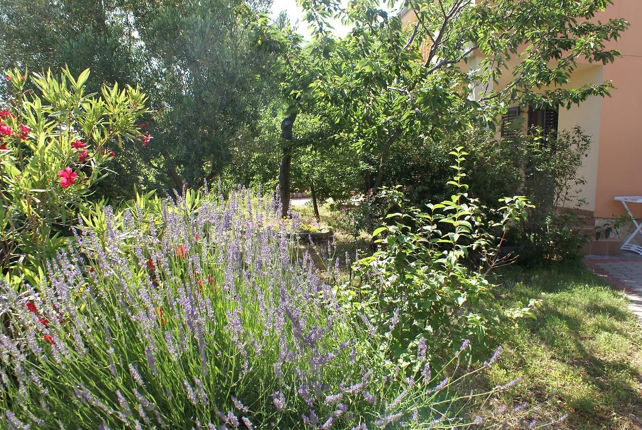 Apartment Ana M Veglia 0*,